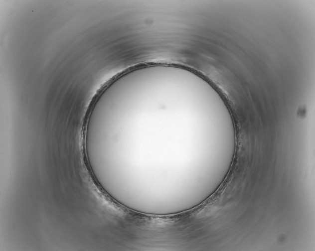 X0000094230848200711021201