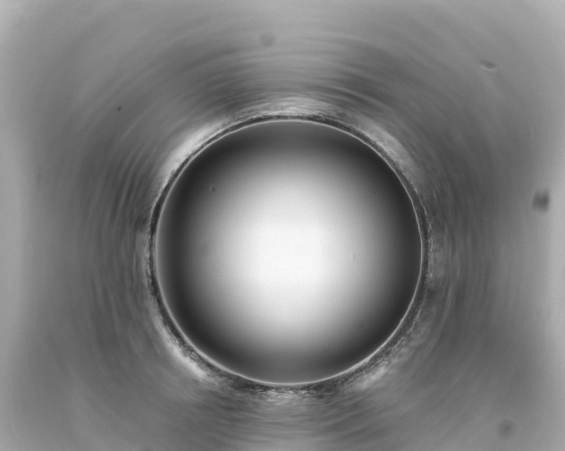 X0000094230850200711021201