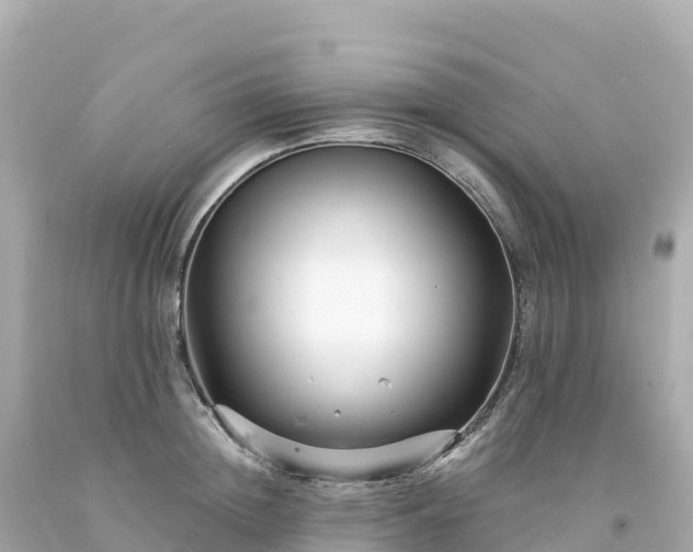 X0000094230852200711021201