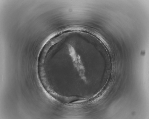 X0000094230853200711021201