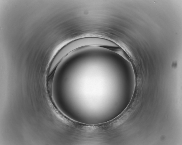 X0000094230854200711021201