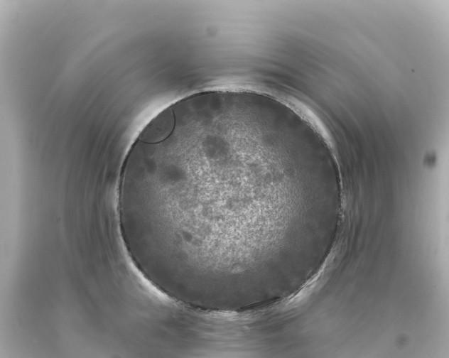 X0000094230855200711021201