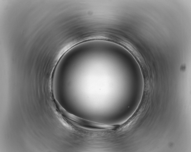 X0000094230858200711021201