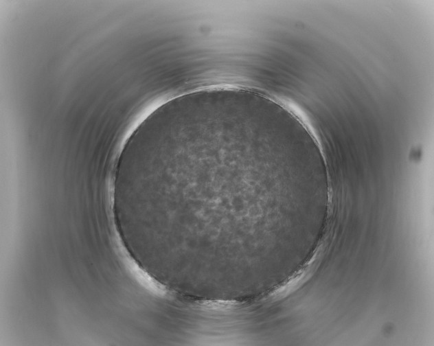 X0000094230859200711021201