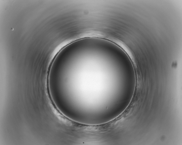 X0000094230861200711021201