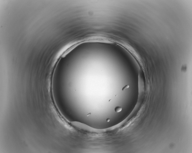 X0000094230862200711021201