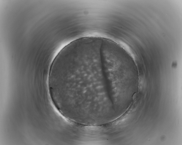 X0000094230863200711021201