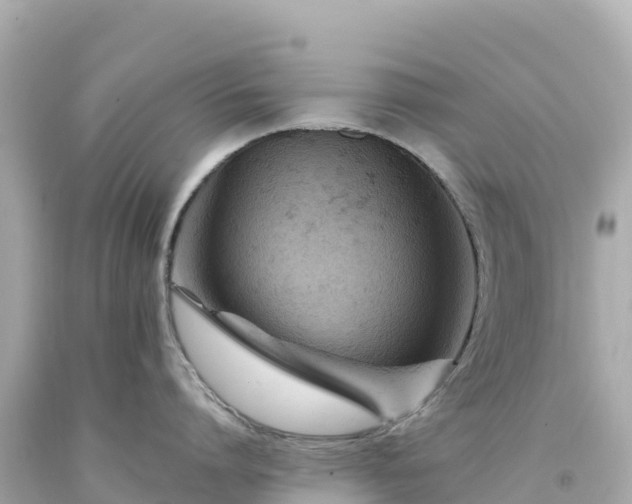 X0000094230864200711021201