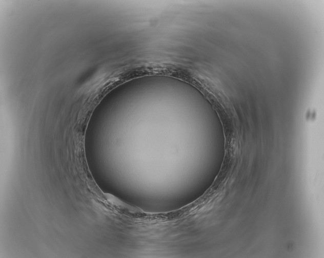 X0000094230865200711021201