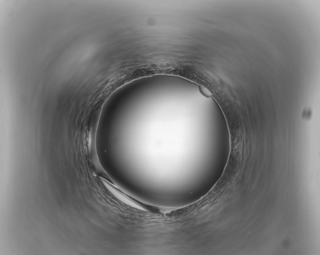 X0000094230866200711021201