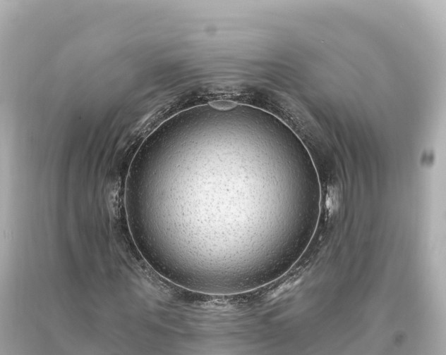 X0000094230867200711021201