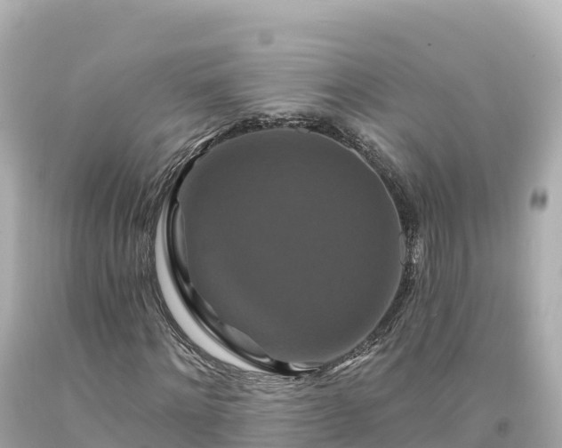 X0000094230868200711021201