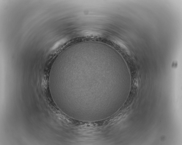 X0000094230869200711021200