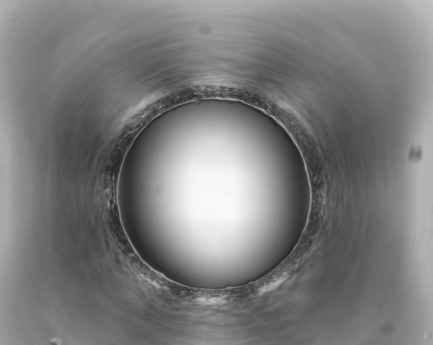 X0000094230870200711021200