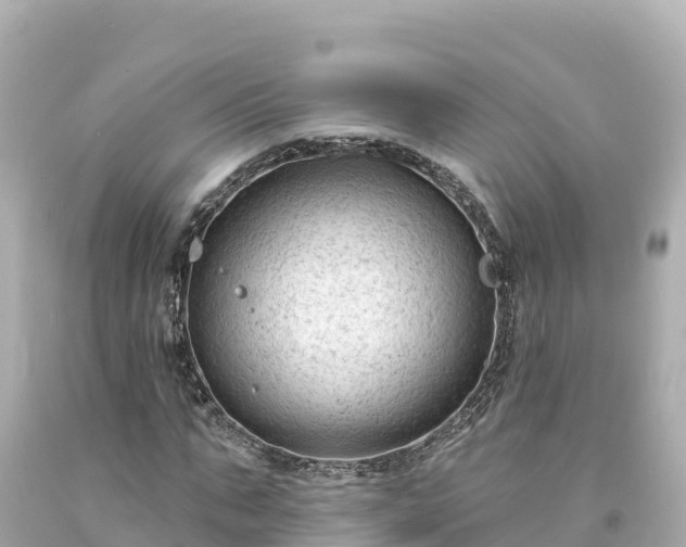 X0000094230871200711021200