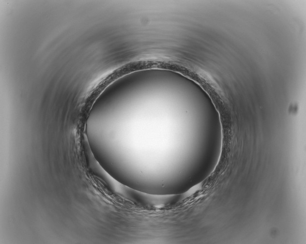 X0000094230872200711021200