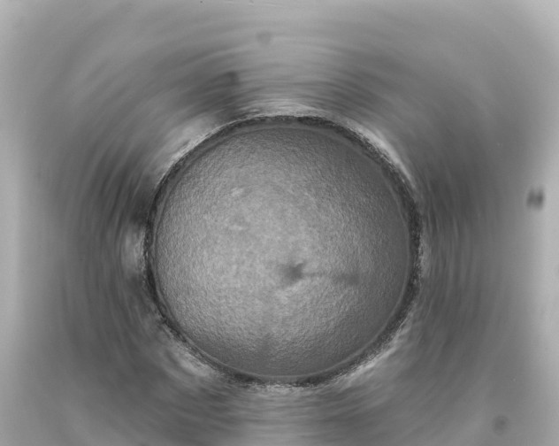 X0000094230873200711021200