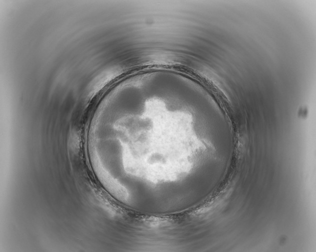 X0000094230874200711021200