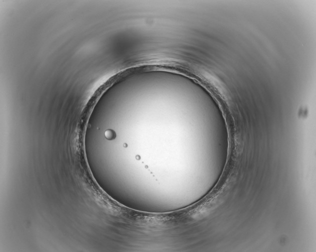 X0000094230875200711021200