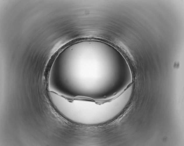 X0000094230876200711021200