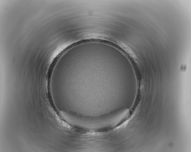 X0000094230877200711021200