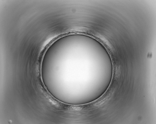 X0000094230878200711021200