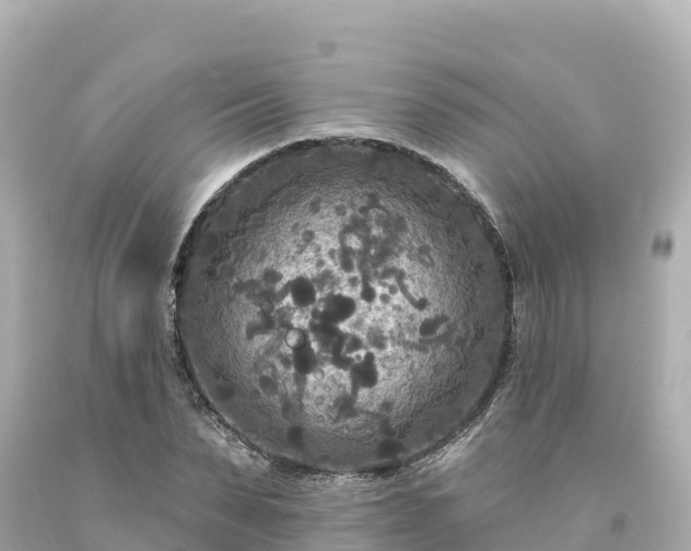 X0000094230879200711021200