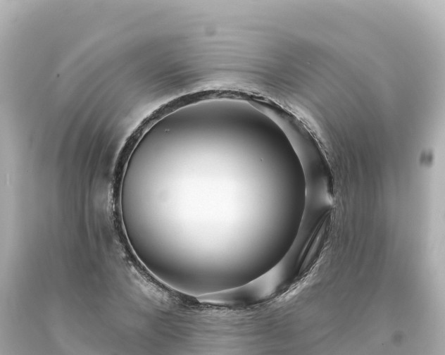 X0000094230880200711021200