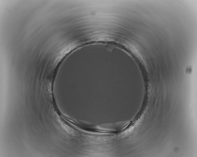 X0000094230881200711021200