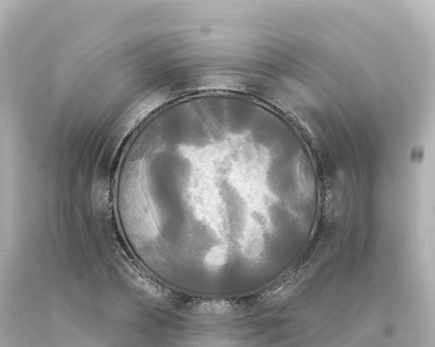 X0000094230882200711021200