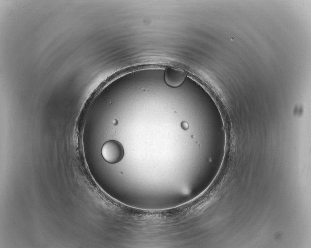 X0000094230883200711021200