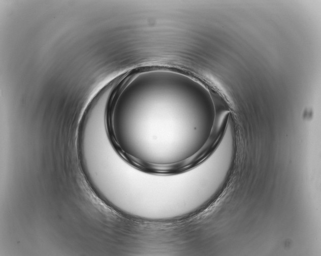 X0000094230884200711021200