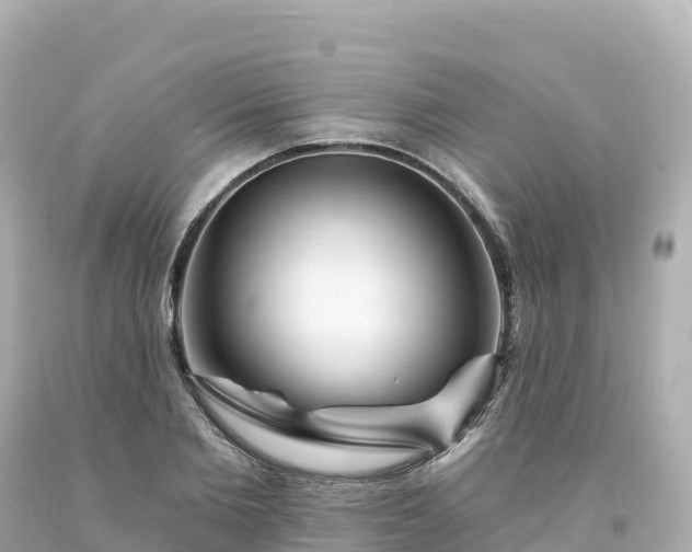 X0000094230885200711021200