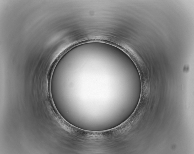 X0000094230886200711021200