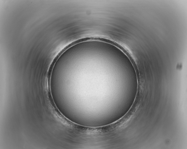 X0000094230887200711021200