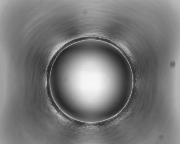 X0000094230888200711021200