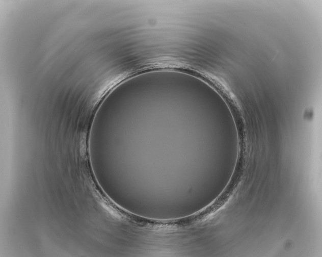 X0000094230889200711021200