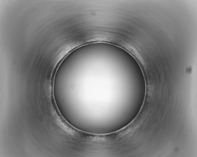 X0000094230890200711021200