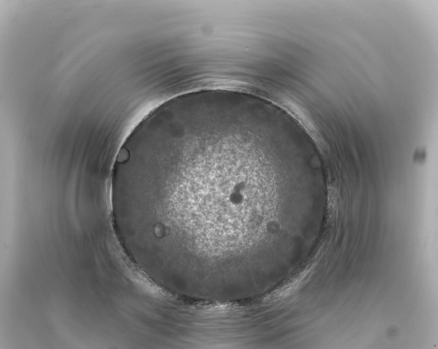 X0000094230891200711021200