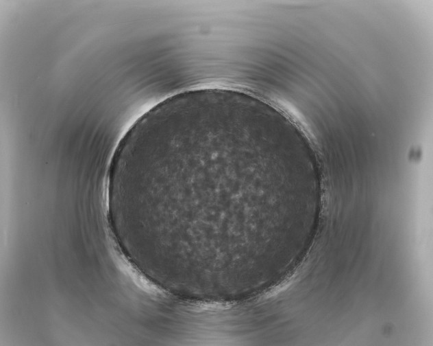 X0000094230892200711021200