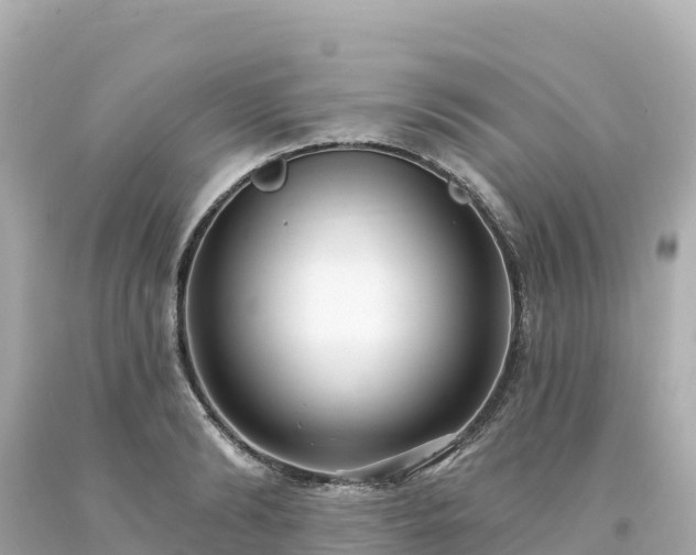 X0000094230894200711021200