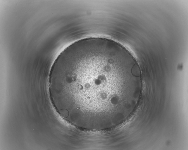 X0000094230895200711021200