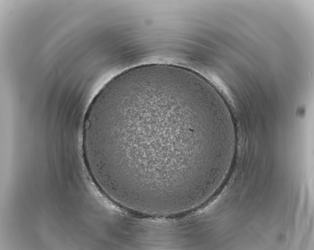 X0000094230896200711021200