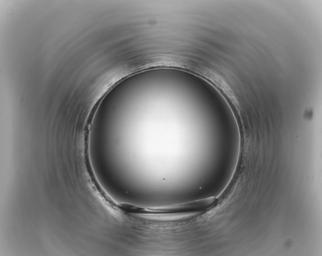 X0000094230898200711021200