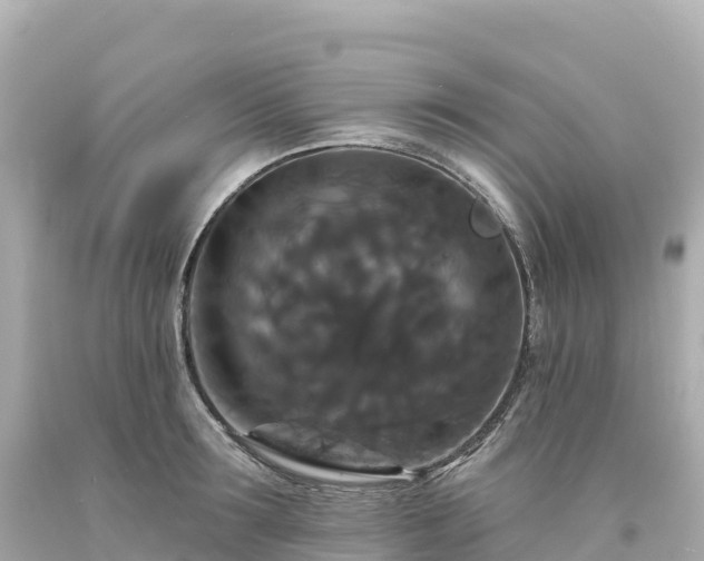 X0000094230899200711021200