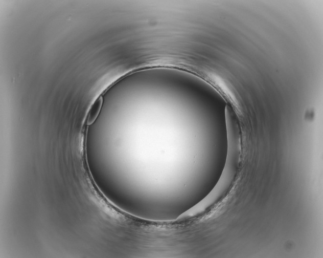 X0000094230900200711021200