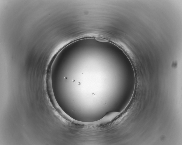 X0000094230902200711021200