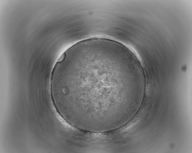 X0000094230903200711021200