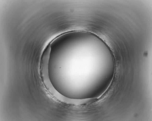 X0000094230904200711021200