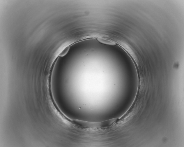 X0000094230906200711021200